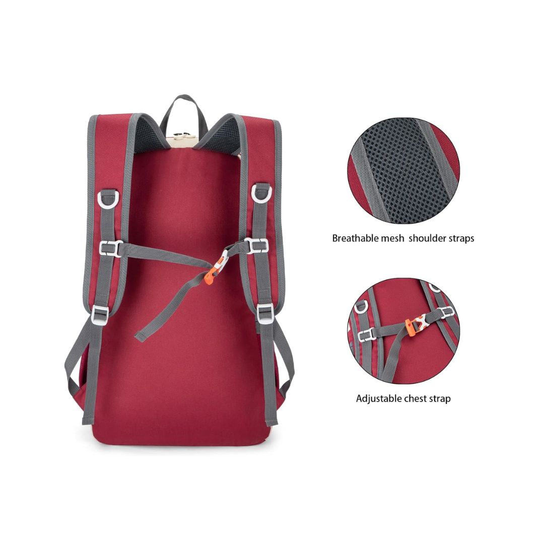 Raptor Travel Hiking Compartments Backpack | Red