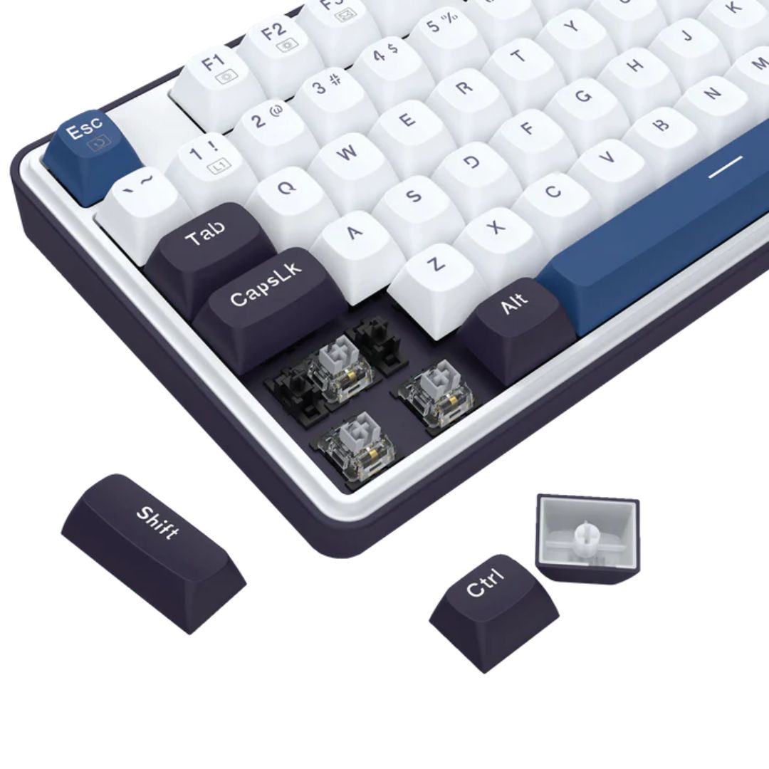 Redragon Wyvern K689WBB Mechanical Keyboard | Panda