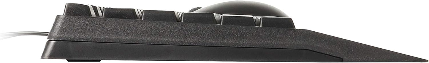 Rapoo NX2000 Wired Keyboard and Mouse Combo | Spill-Resistant Keyboard | 1600 DPI Optical Mouse | USB 3.0 | Plug-and-Play | Black