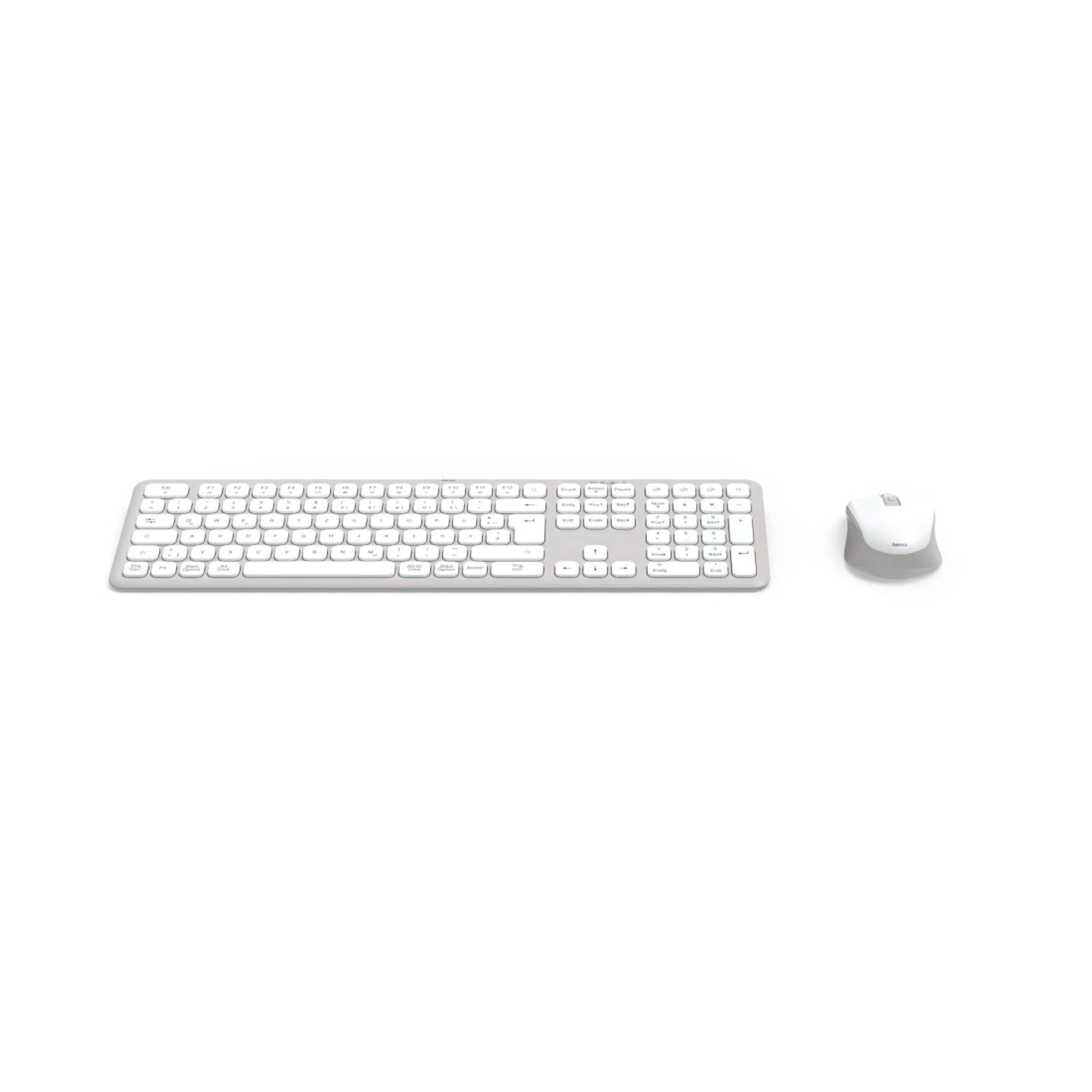#Color_White