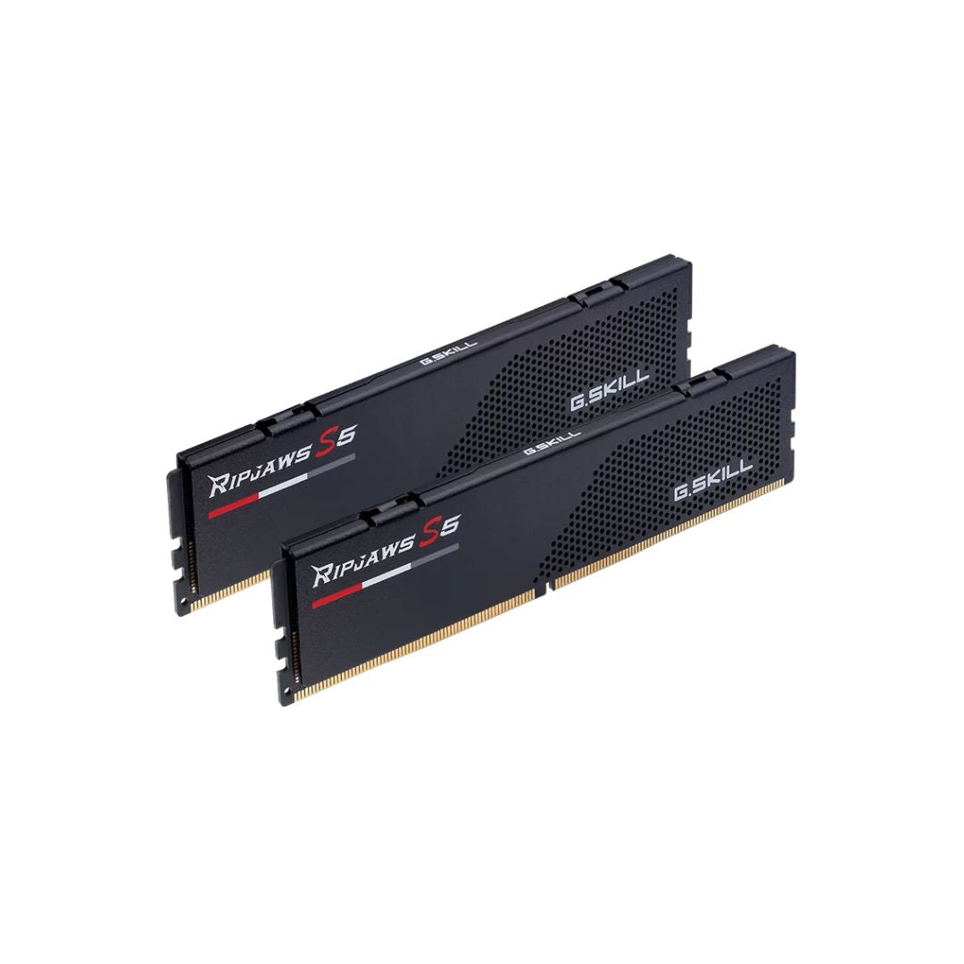 G.SKILL Ripjaws S5 DDR5 16GB (1x16GB) 6000MHz CL36 | XMP & EXPO | Black