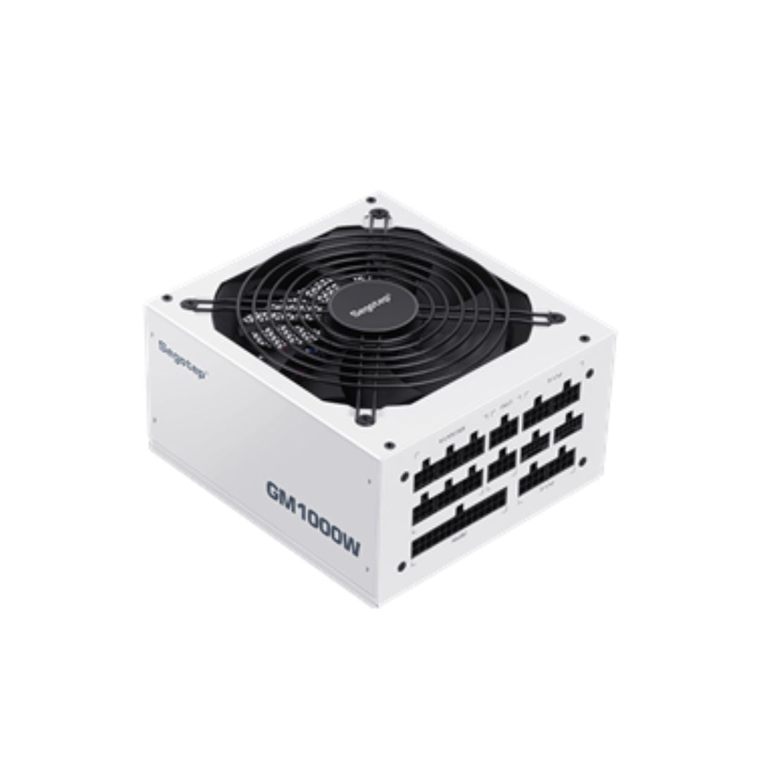 Segotep GM1000W 1000W Gold 80+ Full Modular | PCIe 5.1 & ATX 3.1 | White