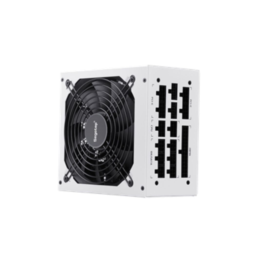 Segotep GM1000W 1000W Gold 80+ Full Modular | PCIe 5.1 & ATX 3.1 | White