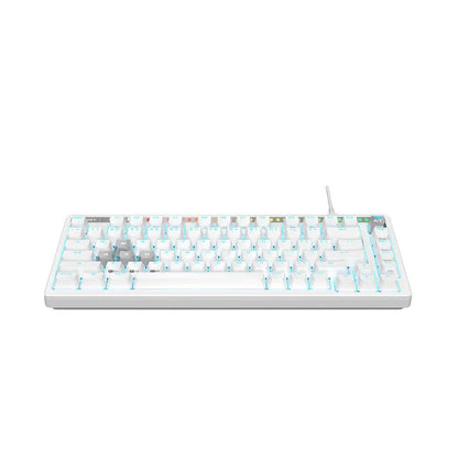 Bloody AT75 Alpha-Optical Switch 75% Gaming Keyboard | Adjustable Actuation | RGB | PBT/Magnesium Keycaps