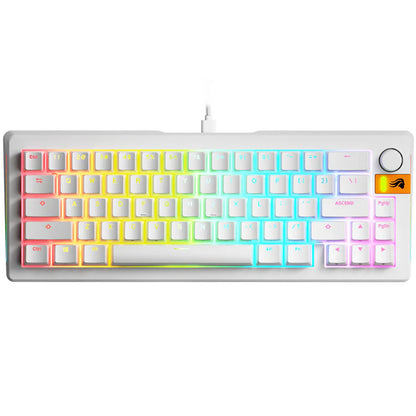 Glorious GMMK 3 HE 65% Prebuilt Mechanical Gaming Keyboard | Hall Effect Magnetic Switches | Rapid Trigger | 8K Polling Rate | Hot-Swappable | RGB Lighting | Compact 65% Layout | USB-C Wired