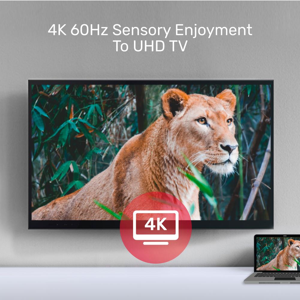 UNITEK 4K 60Hz USB-C to HDMI 2.0 and VGA Adapter with MST Dual Monitor