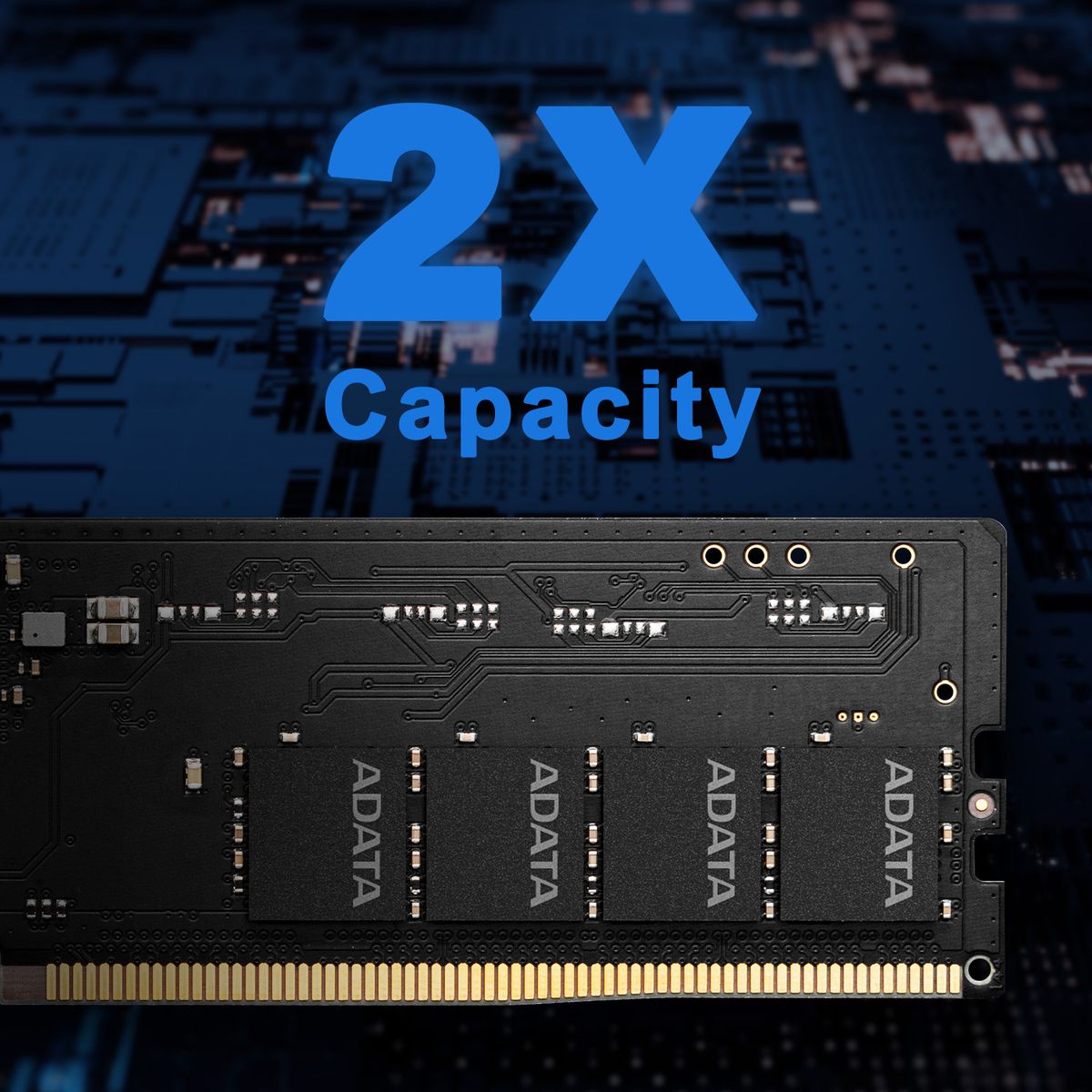 ADATA DDR5 Memory Module | 32GB (1x 32GB) | U-DIMM | 5600MHz