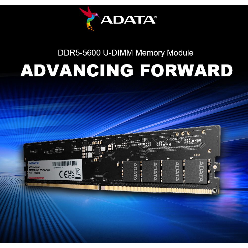 ADATA DDR5 Memory Module | 32GB (1x 32GB) | U-DIMM | 5600MHz