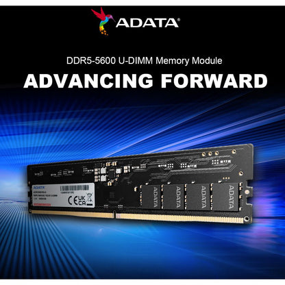 ADATA DDR5 Memory Module | 32GB (1x 32GB) | U-DIMM | 5600MHz