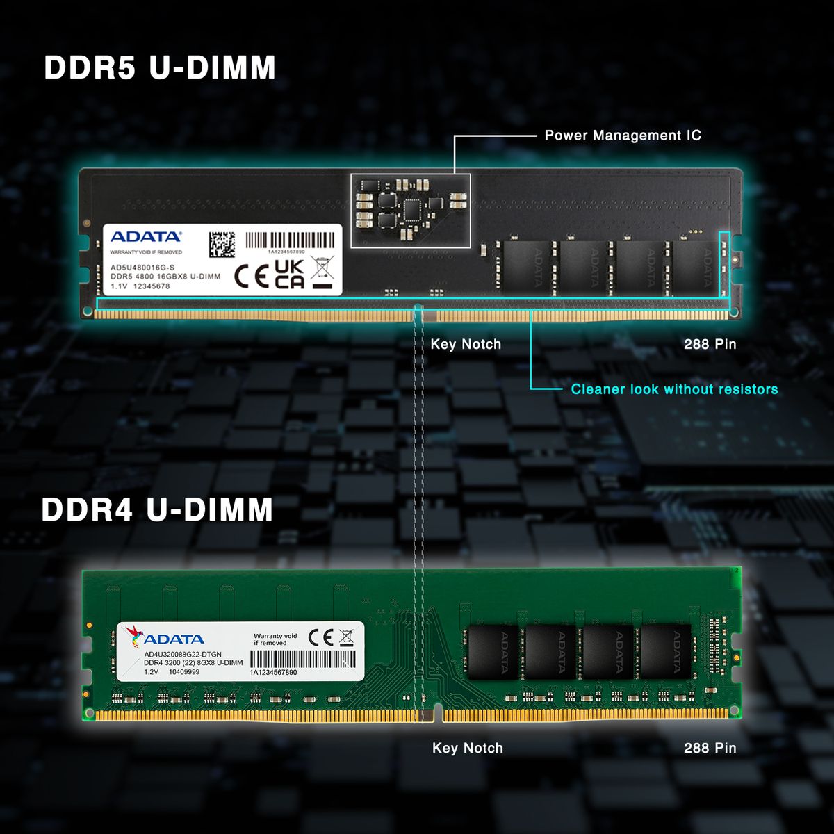 ADATA DDR5 Memory Module | 32GB (1x 32GB) | U-DIMM | 5600MHz