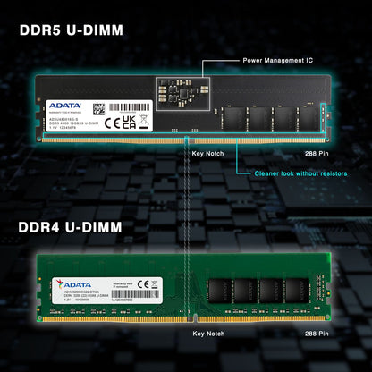 ADATA DDR5 Memory Module | 32GB (1x 32GB) | U-DIMM | 5600MHz