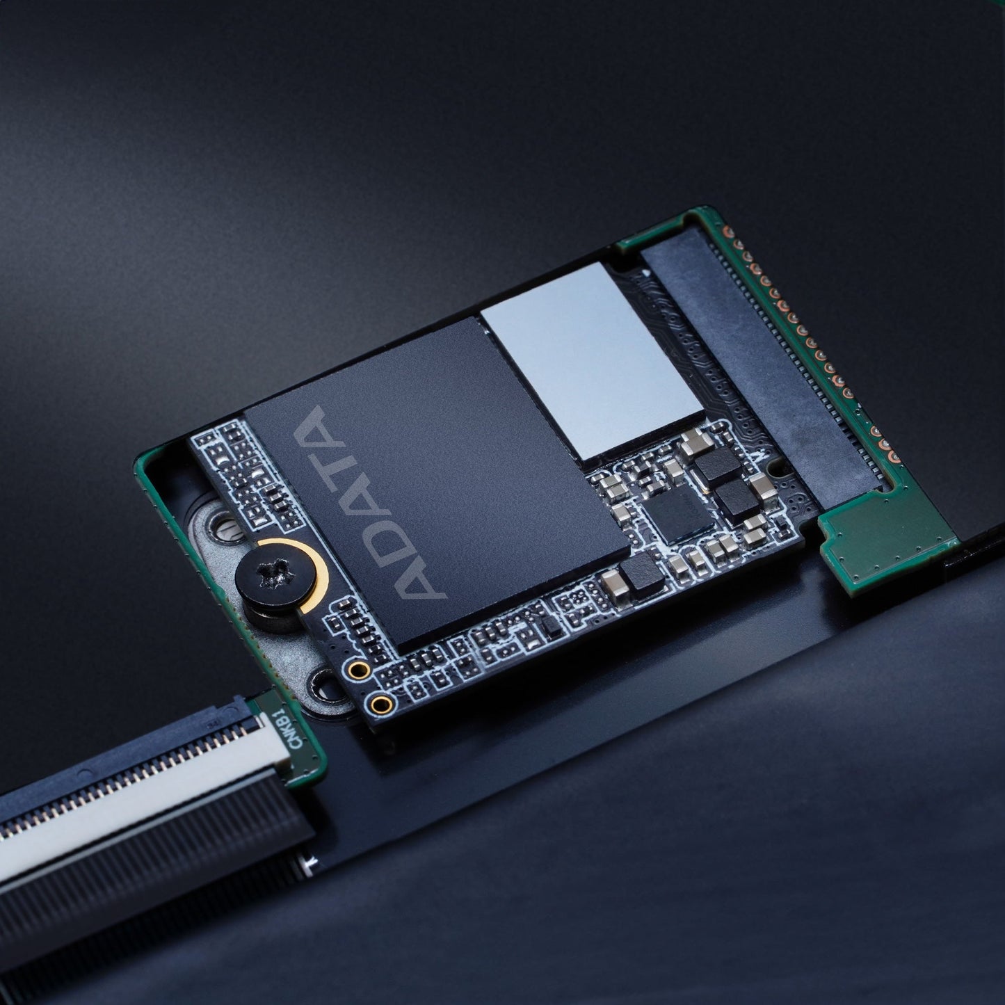 XPG GAMMIX S55 PCIe Gen4 x4 M.2 2230 Solid State Drive | 512GB